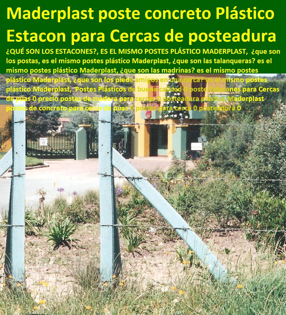 Postes Plásticos de buena calidad 0 poste Estacones para Cercas de púas 0 precio postes de madera para cercas 0 posteadura plástica Maderplast postes de concreto para cerca de púas 0 postes para cerca 0 posteadura 0 Postes Plásticos de buena calidad 0 poste Estacones para Cercas de púas 0 precio postes de madera para cercas 0 posteadura plástica Maderplast postes de concreto para cerca de púas 0 postes para cerca 0 posteadura 0 Postes Plásticos de buena calidad 0 poste Estacones para Cercas de púas 0 precio postes de madera para cercas 0 posteadura plástica Maderplast postes de concreto para cerca de púas 0 postes para cerca 0 posteadura 0
